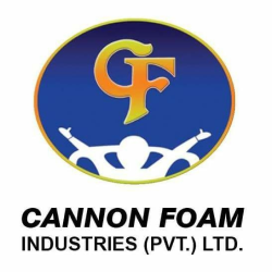 Cannon-foam-1